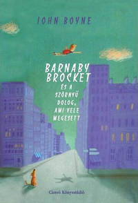 John Boyne: Barnaby Brocket és a szörnyű dolog, ami vele megesett -  (Könyv)