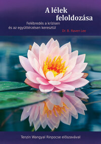 Dr. B. Raven  Lee: A lélek feloldozása -  (Könyv)