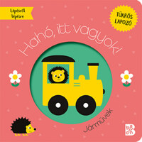 Hahó, itt vagyok! - Járművek -  (Könyv)