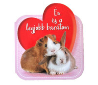 Én és a legjobb barátom -  (Könyv)
