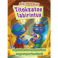 Titokzatos labirintus nagycsoportosoknak - Foglalkoztató munkafüzet nagycsoportosoknak -  (Könyv)