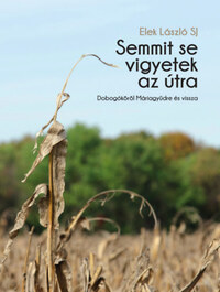 Semmit se vigyetek az útra - Dobogókőről Máriagyűdre és vissza -  (Könyv)