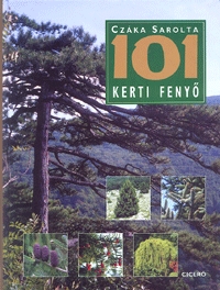 Czáka Sarolta: 101 kerti fenyő -  (Könyv)