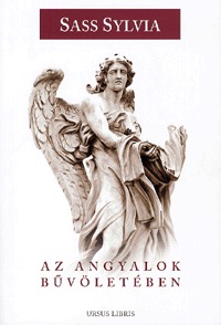 Sass Sylvia: Az angyalok bűvöletében -  (Könyv)