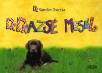 Dr. Sándor Zsuzsa: Dr. Drazsé mesél -  (Könyv)
