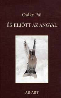 Csáky Pál: És eljött az angyal -  (Könyv)