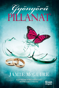 Jamie McGuire: Gyönyörű pillanat -  (Könyv)