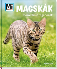 Jutta Aurahs: Macskák - Doromboló ragadozók -  (Könyv)
