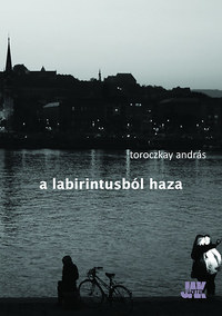 Toroczkay András: A labirintusból haza -  (Könyv)