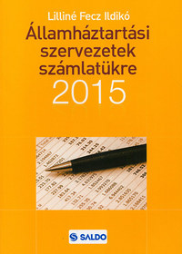 Lilliné Fecz Ildikó: Államháztartási szervezetek számlatükre 2015 -  (Könyv)