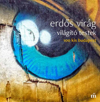 Erdős Virág: Világító testek -  (Könyv)