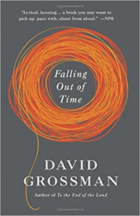David Grossman: Falling Out of Time -  (Könyv)