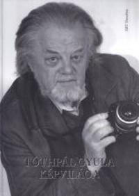 Kulcsár Ferenc: Tóthpál Gyula képvilága -  (Könyv)