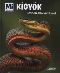 Nicolai Schirawski: Kígyók - Lesben álló vadászok -  (Könyv)