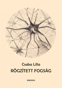 Csaba Lilla: Rögzített fogság -  (Könyv)