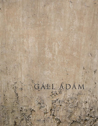 Gáll Ádám: Eltűnésmintázatok -  (Könyv)