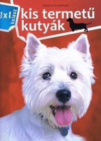 Bernáth István: Kis termetű kutyák - 1x1 kalauz -  (Könyv)