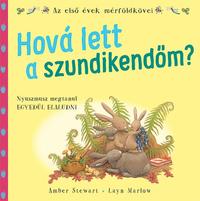 Amber Stewart: Hová lett a szundikendőm? -  (Könyv)