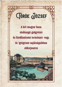 Török József: A két magyar haza elsőrangú gyógyvizei és fürdőintézetei természet- vegy, és gyógytani sajátságaikban előterjesztve -  (Könyv)
