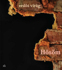 Erdős Virág: Hősöm -  (Könyv)