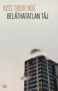 Kiss Tibor Noé: Beláthatatlan táj -  (Könyv)