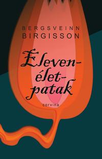 Bergsveinn Birgisson: Elevenélet-patak -  (Könyv)