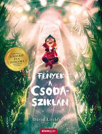 David Litchfield: Fények a Csoda-sziklán -  (Könyv)