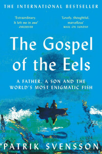 Patrik Svensson: The Gospel of the Eels -  (Könyv)