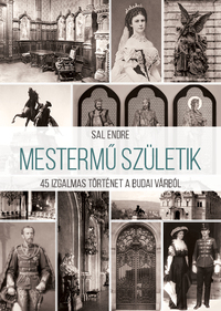 Sal Endre: Mestermű születik - 45 izgalmas történet a Budai Várból -  (Könyv)