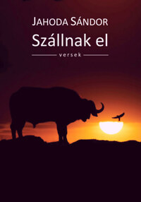Jahoda Sándor: Szállnak el -  (Könyv)