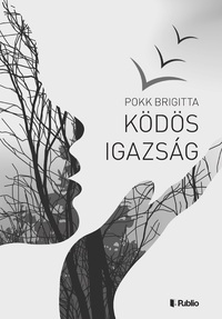 Pokk Brigitta: Ködös igazság -  (Könyv)