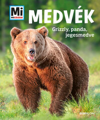 Alexandra Mayer: Medvék - Grizzly, panda, jegesmedve - Mi Micsoda -  (Könyv)