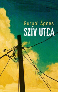 Gurubi Ágnes: Szív utca -  (Könyv)