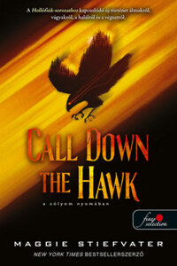 Maggie Stiefvater: Call Down the Hawk - A sólyom nyomában - Álmodók-trilógia 1. -  (Könyv)
