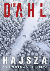 Arne Dahl: Hajsza -  (Könyv)
