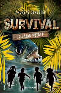 Andreas Schlüter: Survival 4. - Piráják között -  (Könyv)