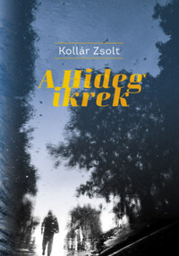 Kollár Zsolt: A Hideg ikrek -  (Könyv)