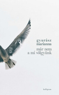 Gyurász Marianna: Már nem a mi völgyünk -  (Könyv)