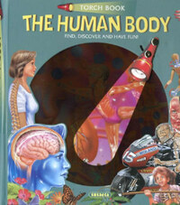 Torch Book - The Human Body -  (Könyv)