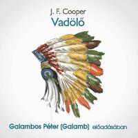 J.F. Cooper: Vadölő - Hangoskönyv - Nagy Indiánkönyv 1. rész -  (Könyv)