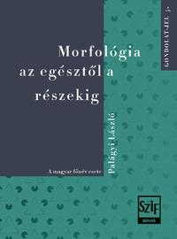 Palágyi László: Morfológia az egésztől a részekig - A magyar főnév esete -  (Könyv)