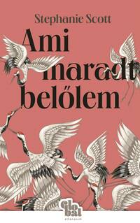 Stephanie Scott: Ami maradt belőlem -  (Könyv)