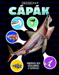 Sophia Willmann: Cápák - Ismerkedj meg közelebbről a cápákkal! -  (Könyv)