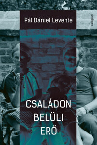 Pál Dániel Levente: Családon belüli erő -  (Könyv)