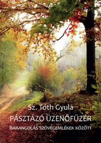 Sz. Tóth Gyula: Pásztázó üzenőfüzér - Barangolás szövegemlékek között -  (Könyv)