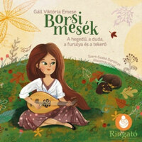 Gáll Viktória Emese: Borsi mesék - A hegedű, a duda, a furulya és a tekerő -  (Könyv)