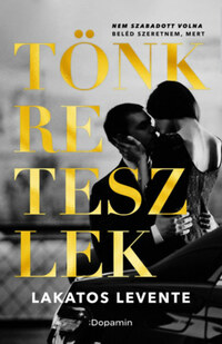 Lakatos Levente: Tönkreteszlek -  (Könyv)