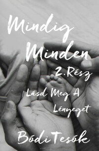 Bódi Tesók: Lásd meg a lényeget - Mindig minden 2. -  (Könyv)