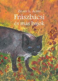 Zilahy L. Ágnes: Frászbácsi és más bajok -  (Könyv)