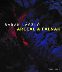 Barak László: Arccal a falnak -  (Könyv)